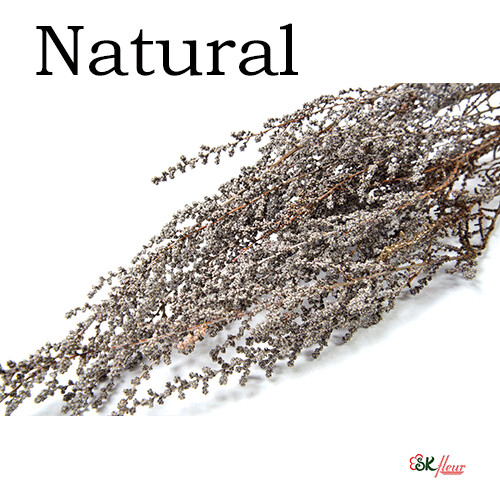 Stoebe / Natural