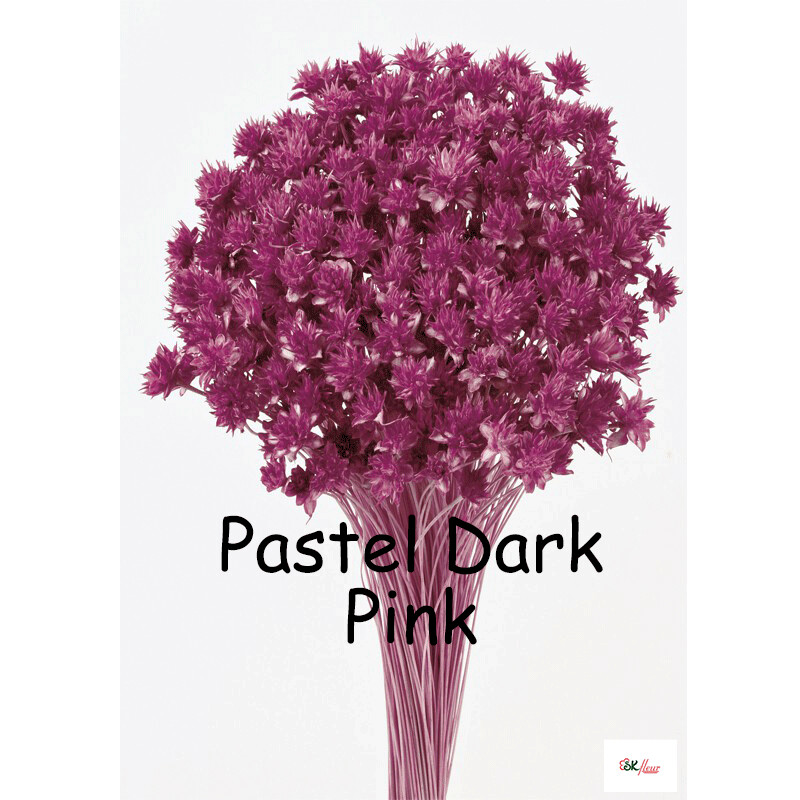 Hill Flower / Pastel Dark Pink