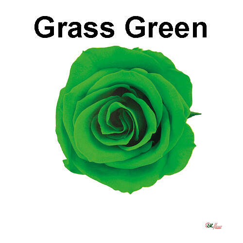 Spray Rose / Grass Green