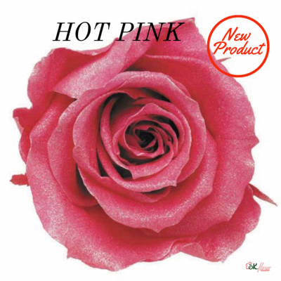Sparkling Standard Rose / Hot Pink