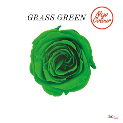 Piccola Blossom Rose / Grass Green