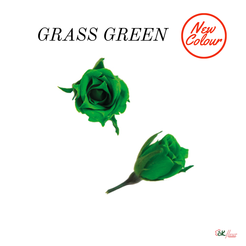 Micro Rose / Grass Green