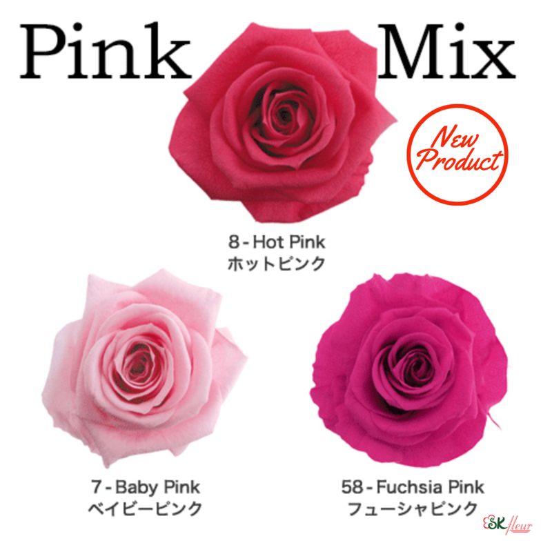 Standard Rose / Pink Mix