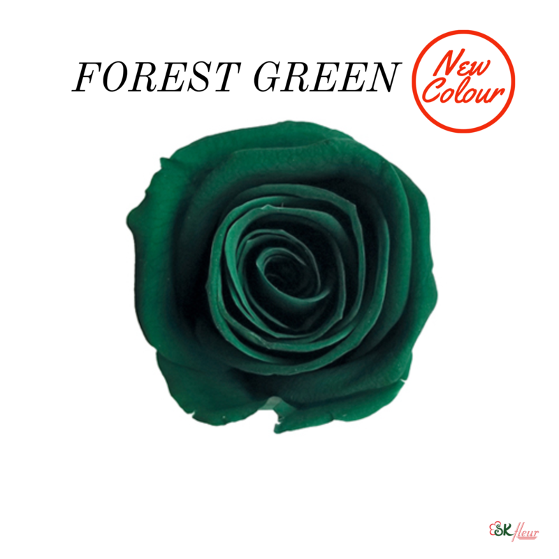Spray Rose / Forest Green