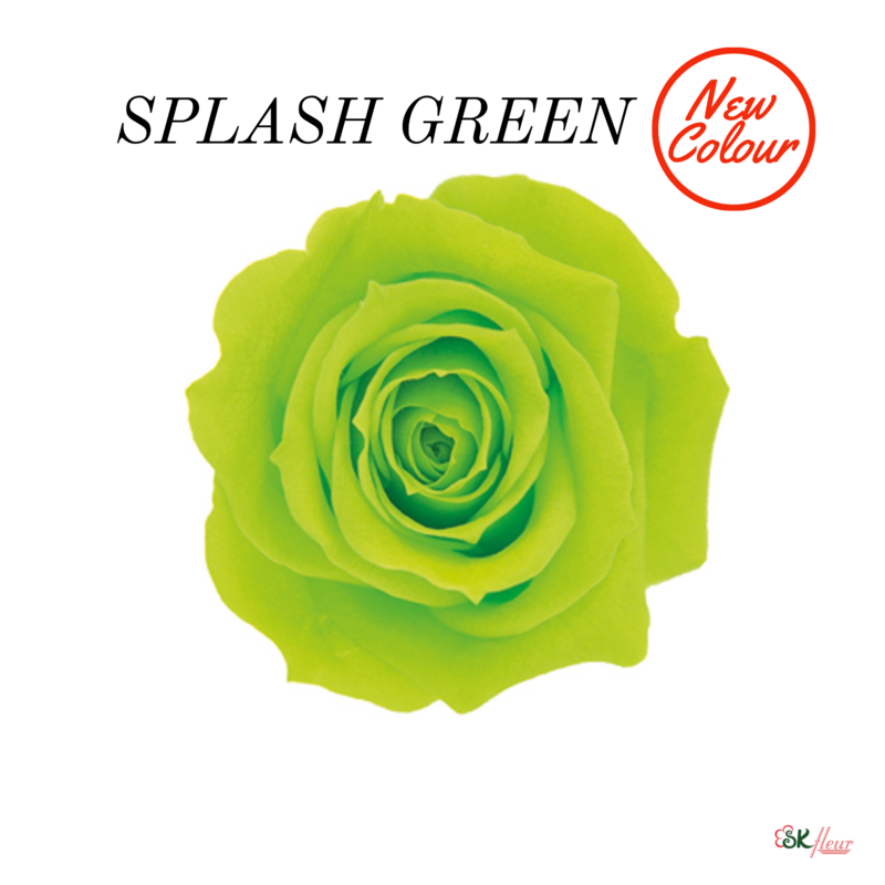 Spray Rose / Splash Green