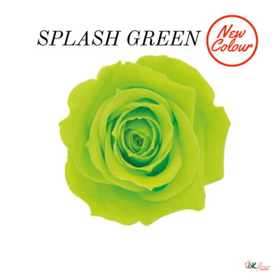 Spray Rose / Splash Green