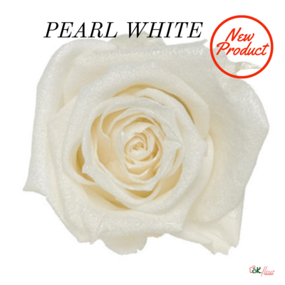 Sparkling Spray Rose / Pearl White