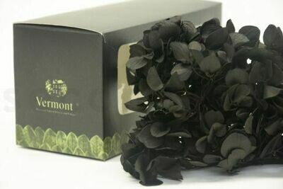 PRESERVED SPRIG HYDRANGEA - BLACK PRESERVED SPRIG HYDRANGEA - BLACK