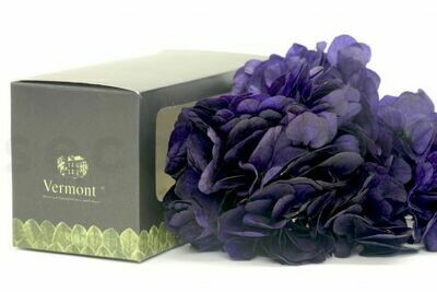 PRESERVED SPRIG HYDRANGEA - SWEET VIOLET PRESERVED SPRIG HYDRANGEA - SWEET VIOLET