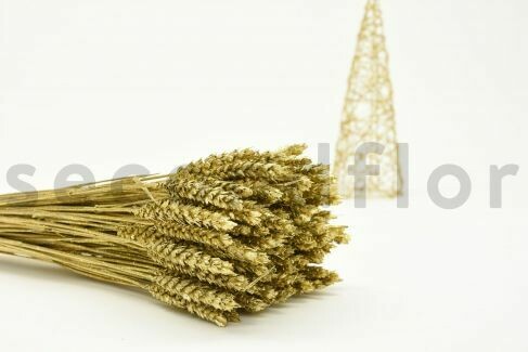 DRIED WHEAT - 1 BOUQUET - GLITTER GOLD