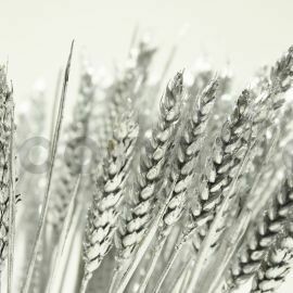 DRIED WHEAT - BOUQUET - GLITTER SILVER