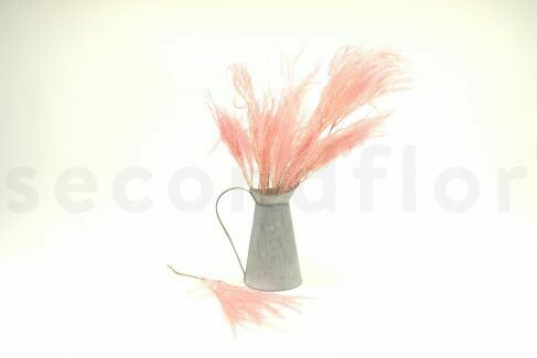 PRESERVED UMBRELLA FERN - PINK