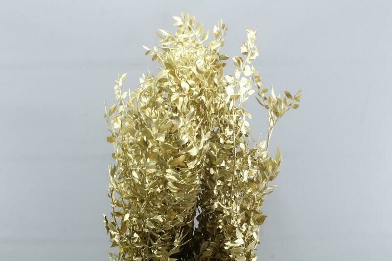 Preserved Ruscus - Glitter Metallic Gold