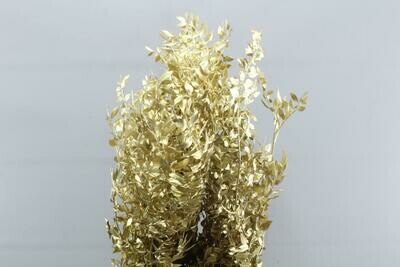Preserved Rucus - Glitter Gold Preserved Rucus - Glitter Gold