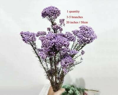 Rice Flowers \ Natural Lilac Rice Flowers \ Natural Lilac