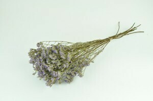 Limonium - Natural Purple Limonium - Natural Purple