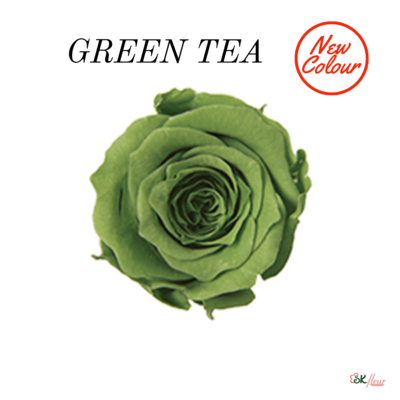 Piccola Blossom Rose / Green Tea