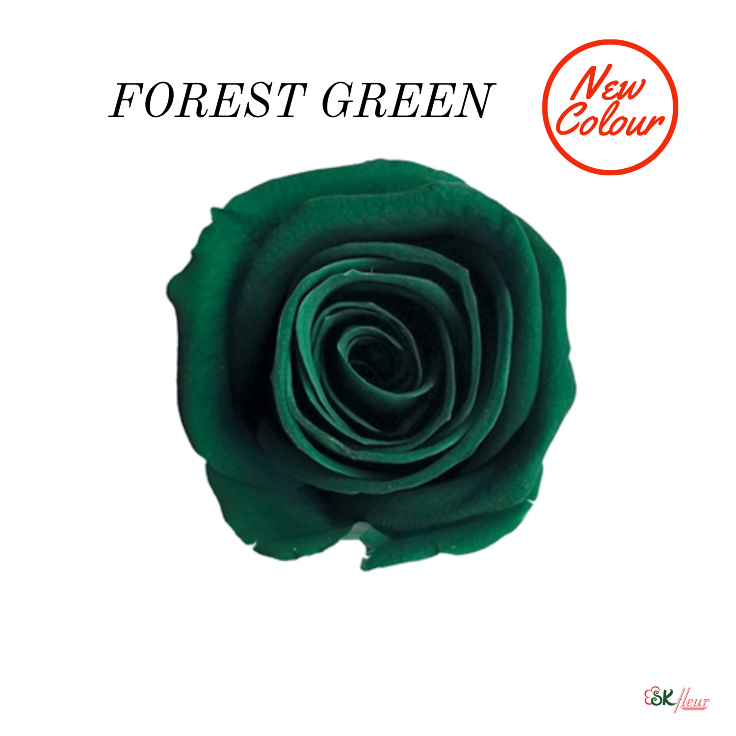 Piccola Blossom Rose / Forest Green
