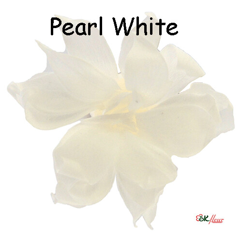 Snow Star / Pearl White