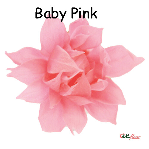 Snow Star / Baby Pink