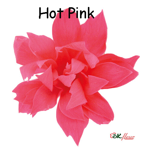 Snow Star / Hot Pink