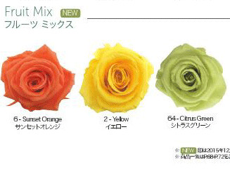 Standard Rose / Fruit Mix