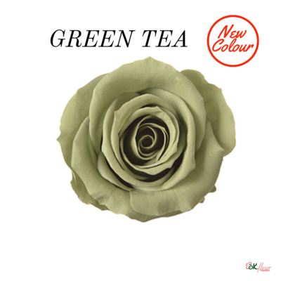 Spray Rose / Green Tea