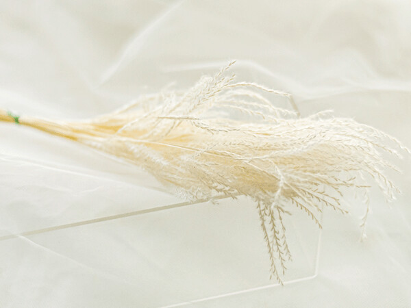 FINE GRASS / PASTEL WHITE