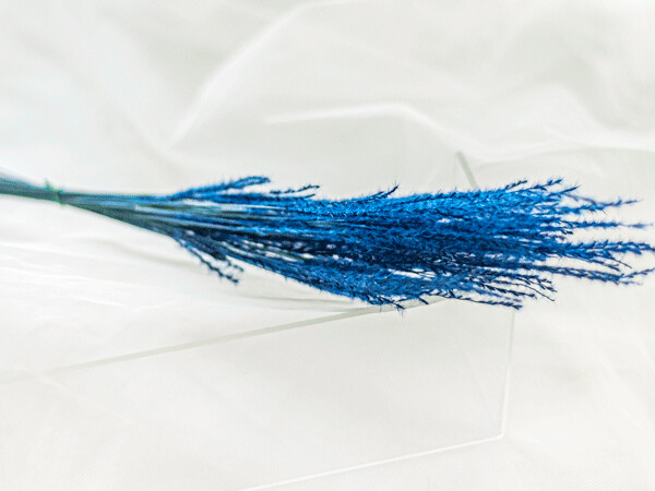 FINE GRASS / NATURAL BLUE