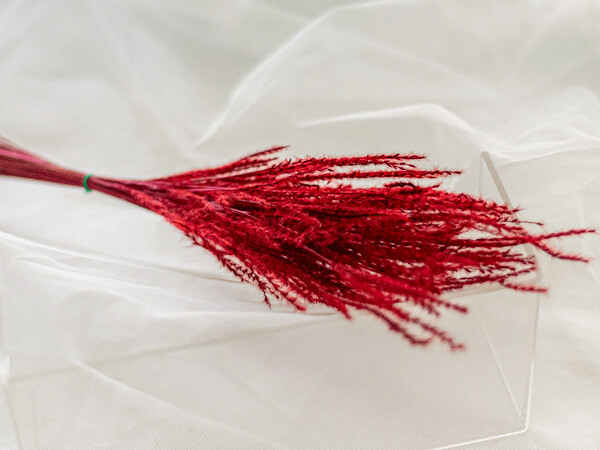 FINE GRASS / NATURAL RED