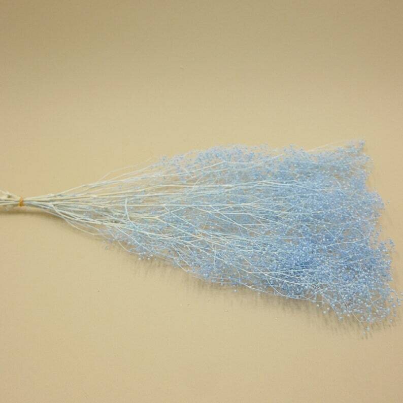 PRESERVED GYPSOPHILA - MINI - LIGHT BLUE