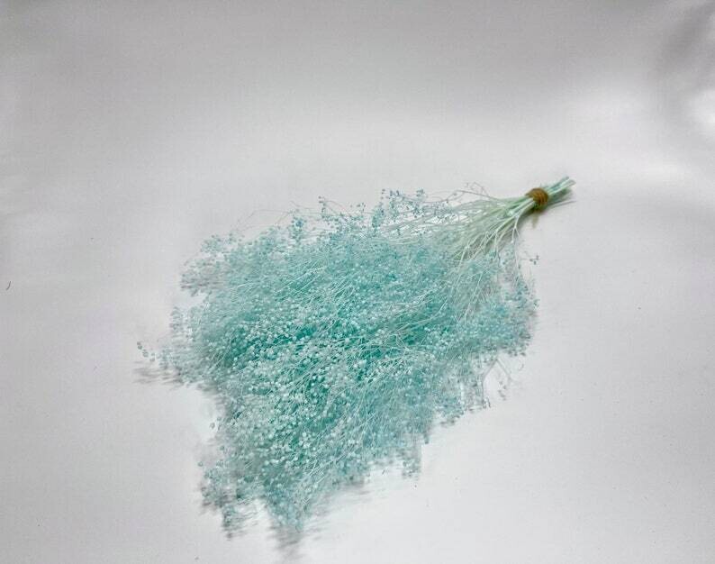 PRESERVED GYPSOPHILA - MINI - TIFFANY BLUE