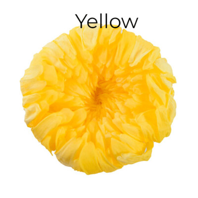 Standard Mum / Yellow