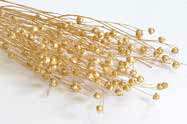 Linseed DRIED / Gold