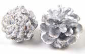 Pine Cones \ Silver