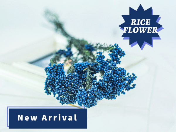 Rice Flowers \ Dark Blue