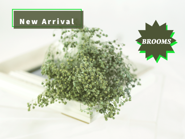 Brooms / Mate Light Green