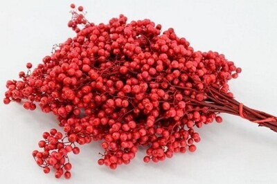 Pepper Berry / Natural Red