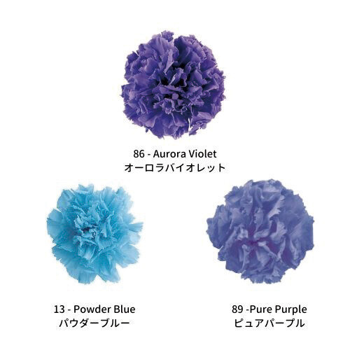 Standard Carnation Color Palette - Cool Breath