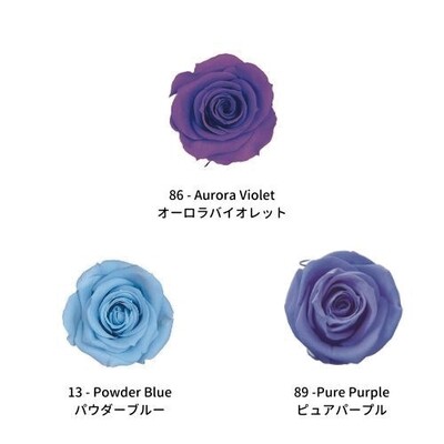 Spray Rose / Color Palette - Cool Breath