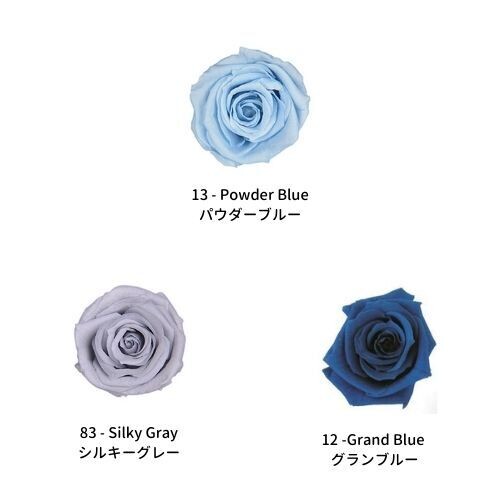 Baby Rose / Blue Mix