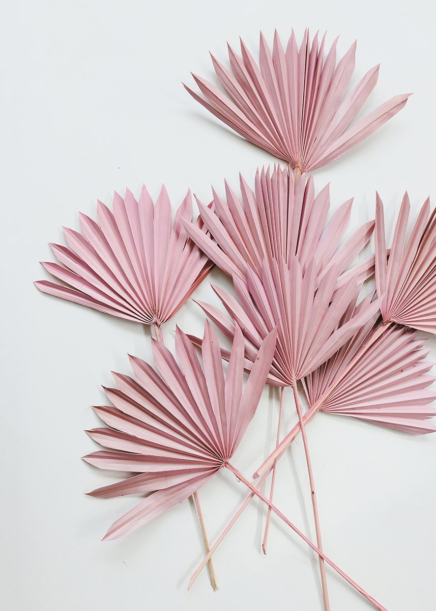 Palm Sun / Light Pink