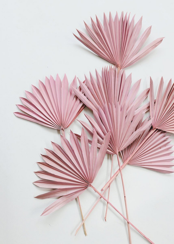 Palm Sun / Light Pink