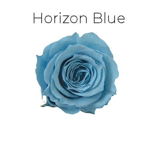 Piccola Blossom Rose / Horizon Blue