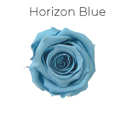 Baby Rose / Horizon Blue