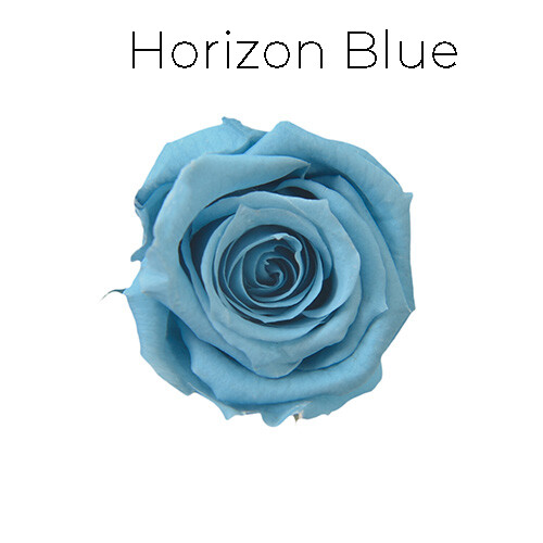 Spray Rose / Horizon Blue