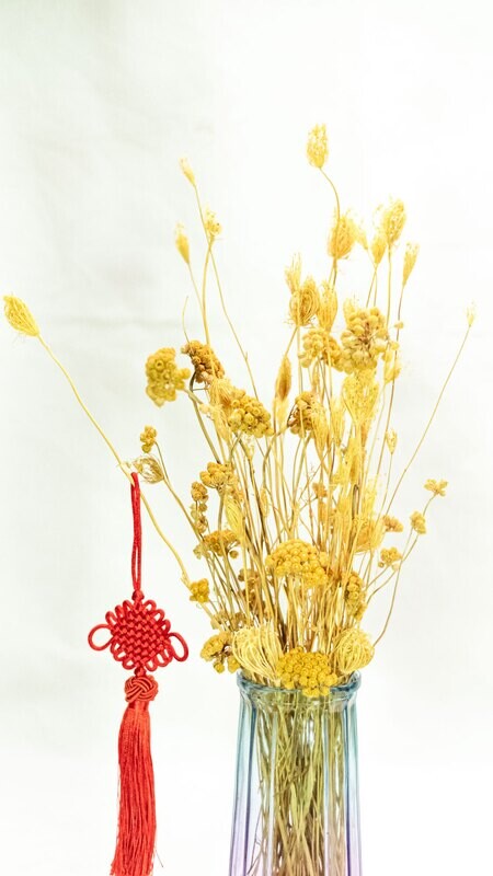 Wild Fennel Dried / Yellow