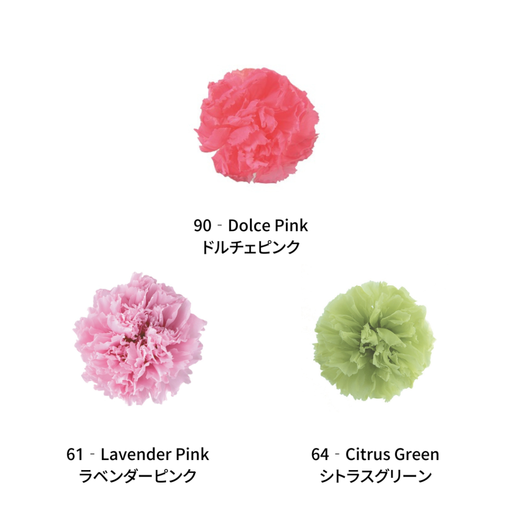 Mini Carnation Color Palette - POP