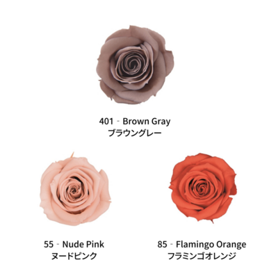Spray Rose / Color Palette - EARTH