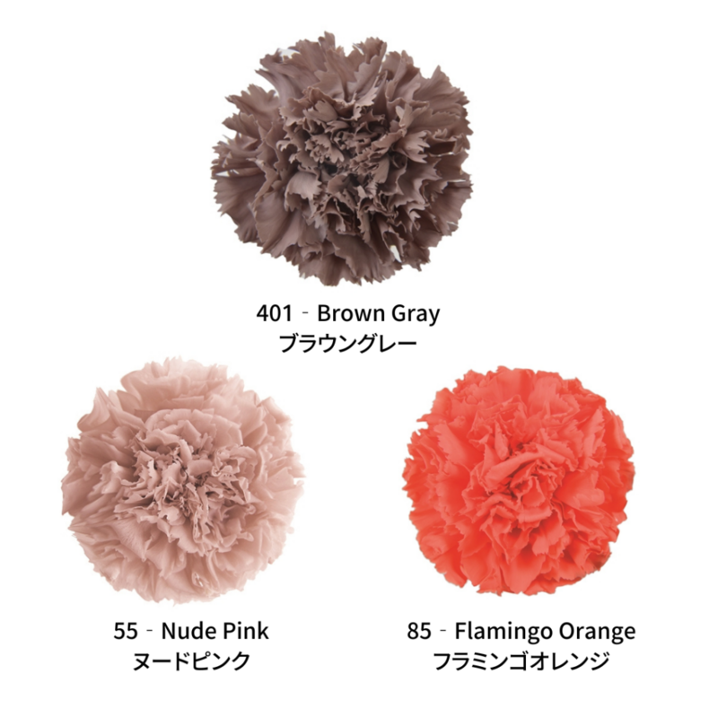 Standard Carnation Color Palette - EARTH